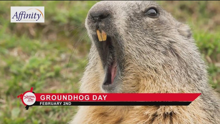 NATIONAL DAY CALENDAR: National Groundhog Day