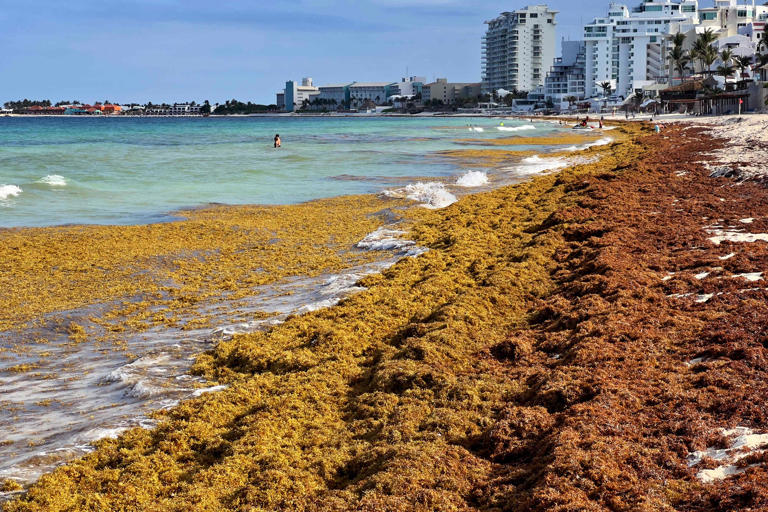 Why is the ocean salty? Ocean salinity explained, plus the world's ...