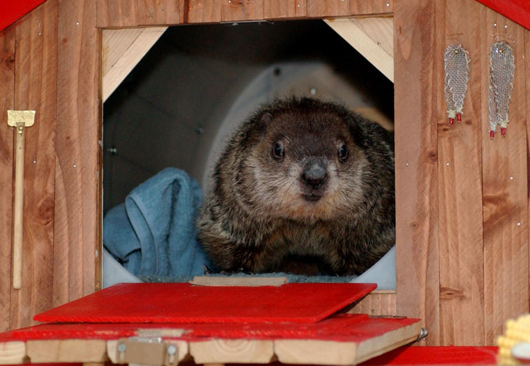 Staten Island Chuck says get ready for spring