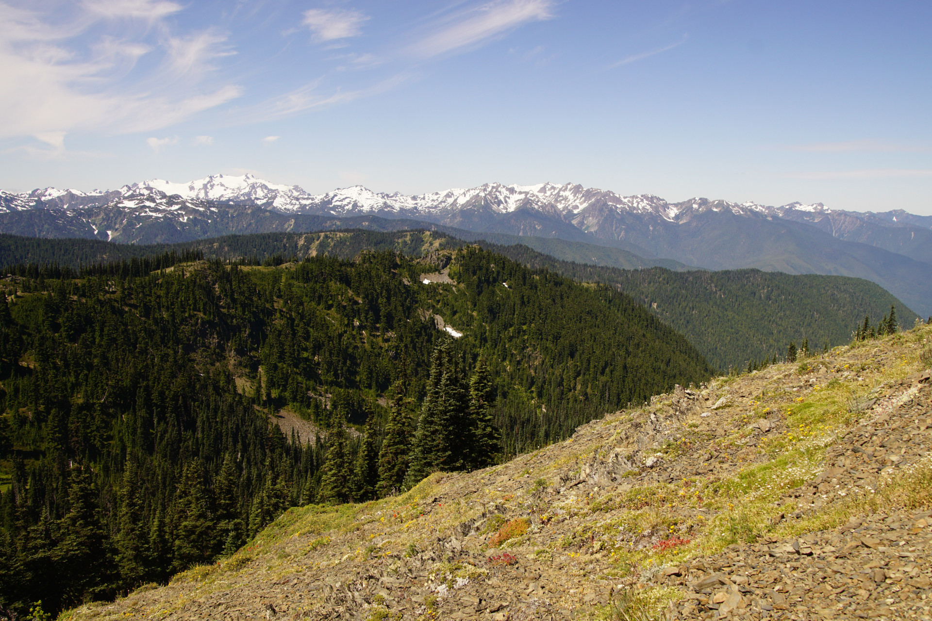 Standing in the shadow of Mount Olympus, it is frequently visited for the ancient Hoh and Quinault rainforests.