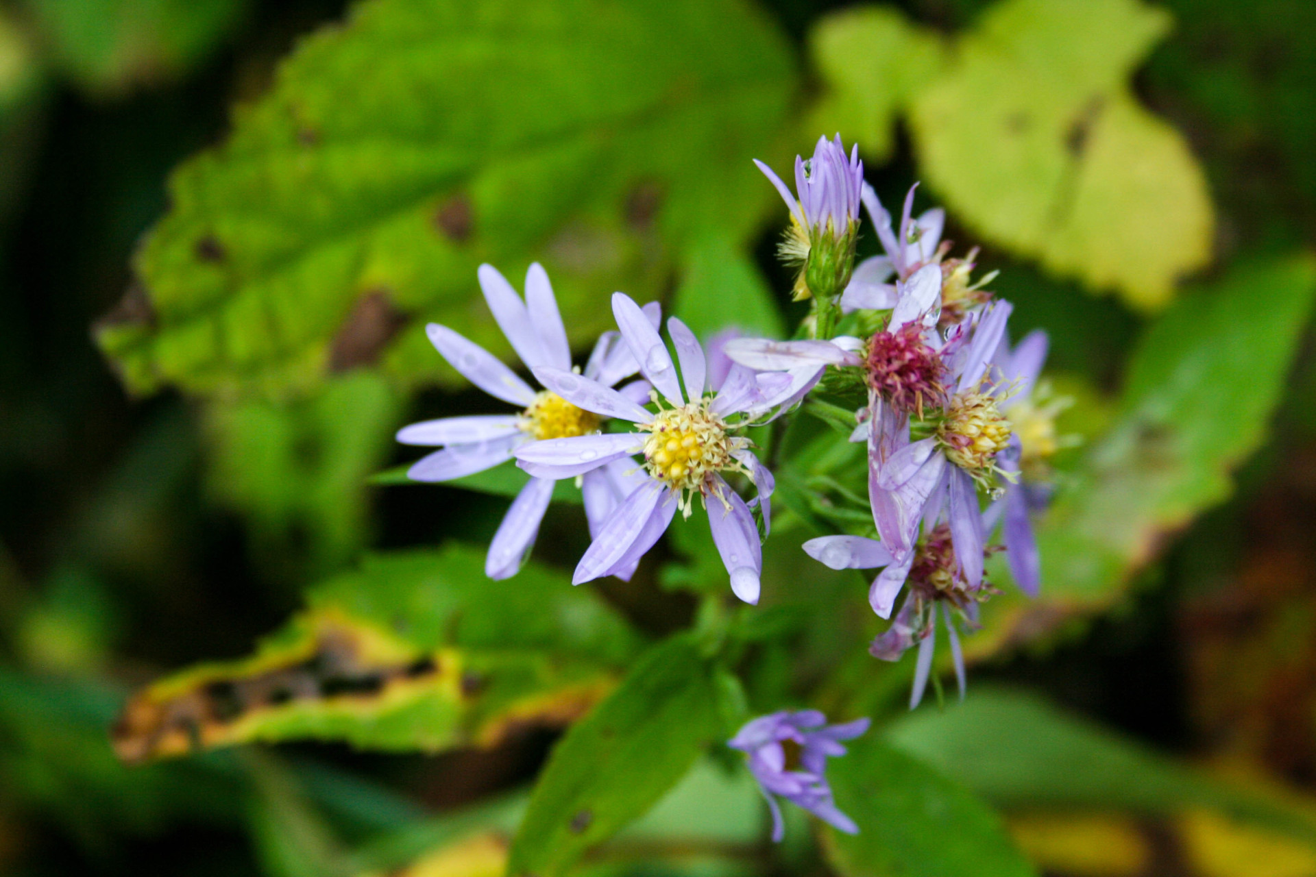 Amble through this undulating landscape in spring, and you’ll witness a spectacular display of flowering plants that carpet the valleys with flecks of color. <p>You may also like:<a href="https://www.starsinsider.com/n/363916?utm_source=msn.com&utm_medium=display&utm_campaign=referral_description&utm_content=152242en-en"> Avoid these "healthy" foods and live longer</a></p>