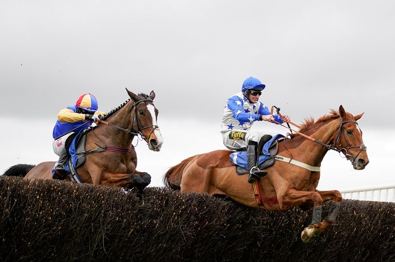 Horse Power: Certainly Red Can Win The Grimthorpe Chase At Doncaster