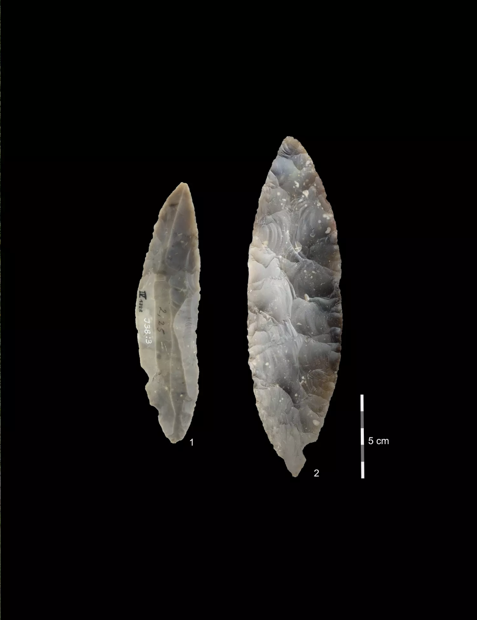 Humans And Neanderthals Lived Side-by-Side In Northern Europe 45,000 ...