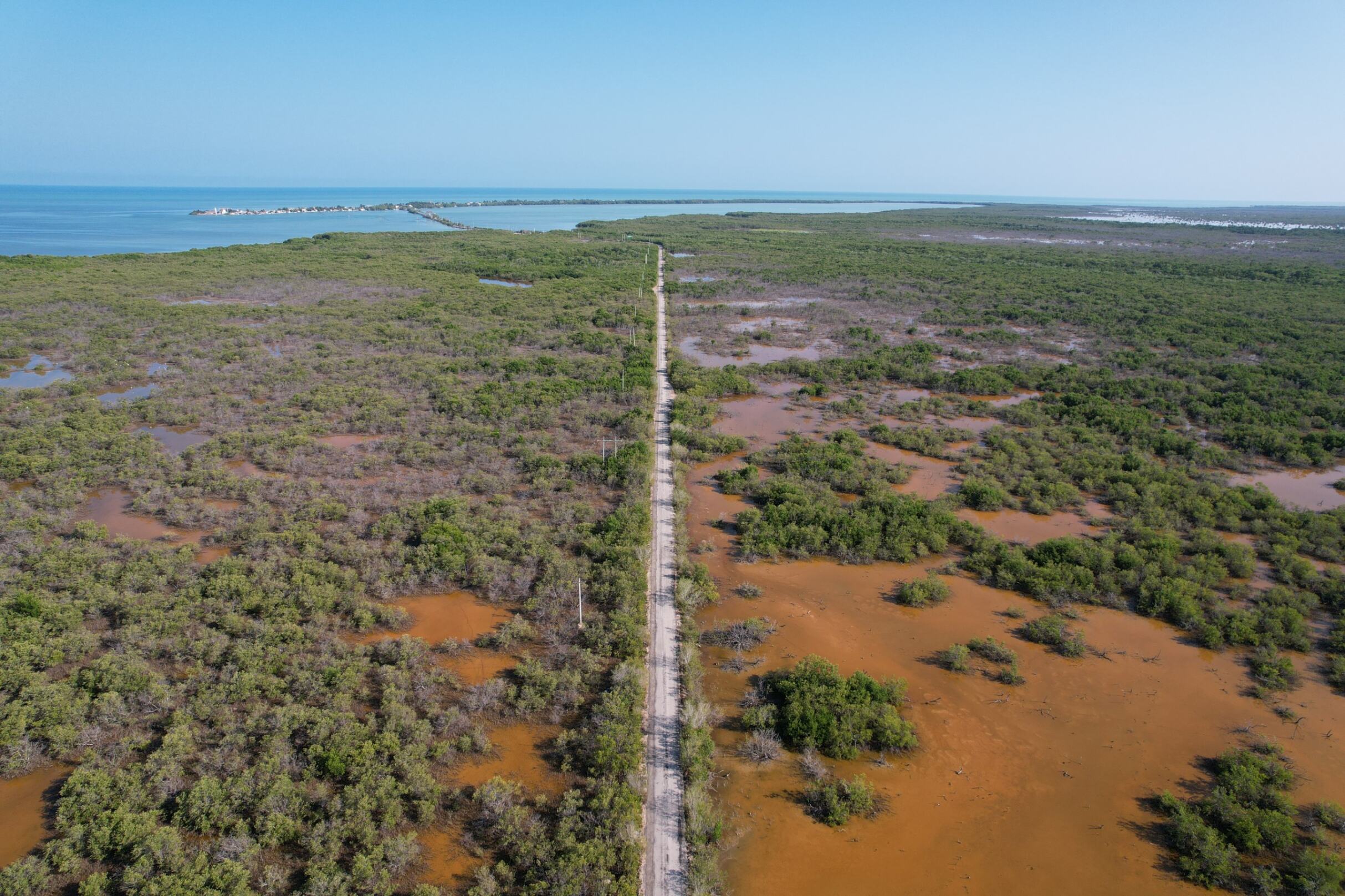 isla arena, un proyecto de restauración de manglares en la reserva de la biósfera ría celestún