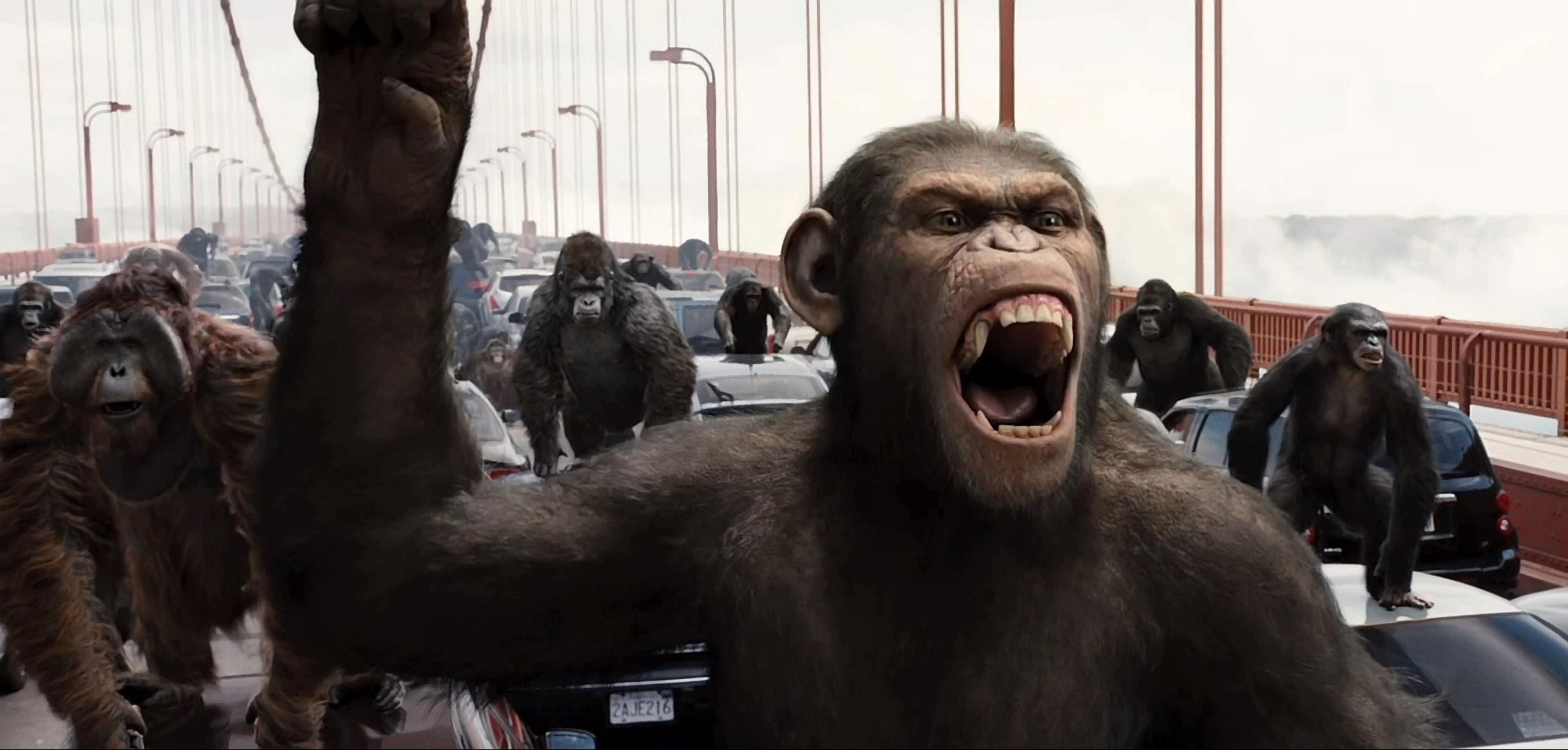<p>The original <span><em>Planet of the Apes</em> </span>film remains a sci-fi classic, spawning a franchise spanning decades. In 2011, fans of the films finally got the origin story they’d long wanted, and <span><em>Rise of the Planet of the Apes</em> </span>focuses on Caesar (played in motion capture by Andy Serkis). The young chimp gains enhanced cognition due to an Alzheimer’s drug, and the stage is set for simian conquest, particularly once a virulent form of flu starts to spread across the globe. Though the film takes some liberties with established science, its depiction of various ape species is remarkably accurate, and its depiction of the spread of a pandemic hits particularly close to home in the age of COVID-19. The subsequent film, <span><em>Dawn of the Planet of the Apes</em>, </span>is likewise <a href="https://www.bbc.com/news/science-environment-28258990#:~:text=In%20real%20life%2C%20apes%20do,a%20possibility%2C%22%20he%20explains."><span>decently accurate from a scientific point of view.</span></a></p><p>You may also like: <a href='https://www.yardbarker.com/entertainment/articles/20_films_about_math_mathematicians_and_math_geniuses_020324/s1__28630979'>20 films about math, mathematicians and math geniuses</a></p>