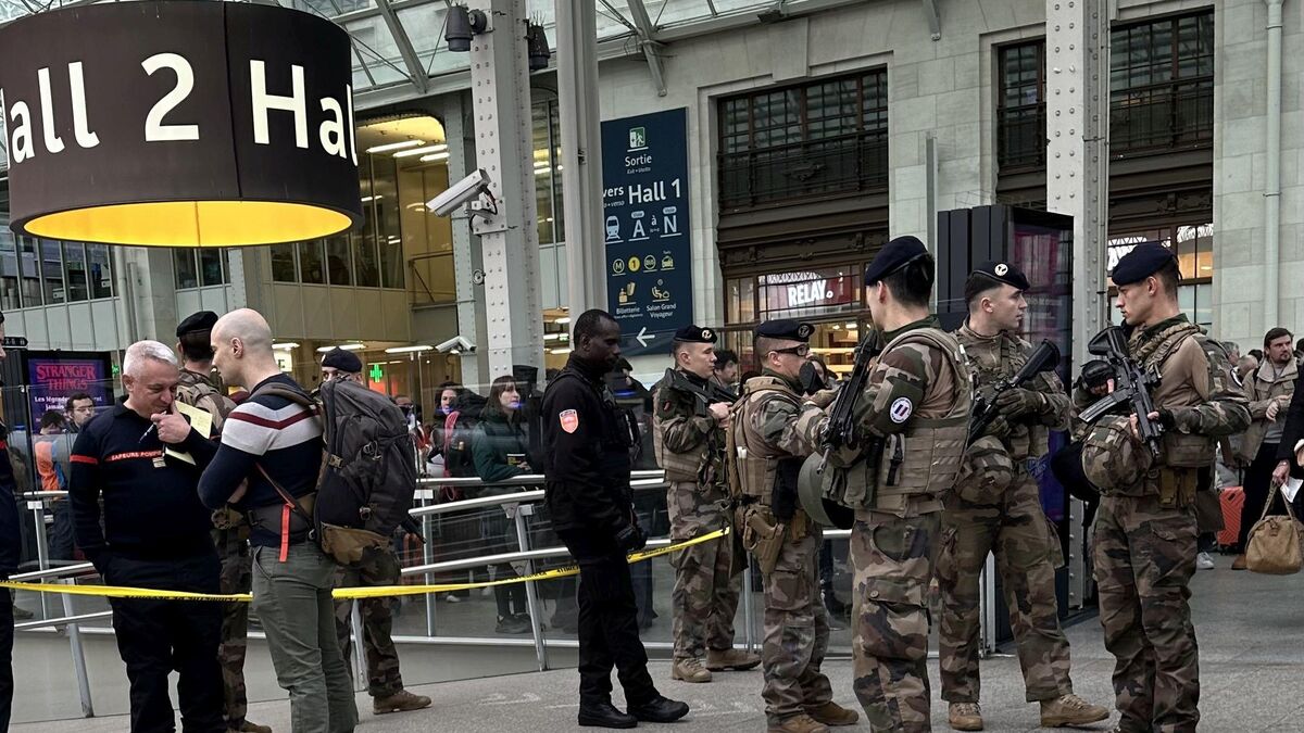 attaque à la gare de lyon à paris : la garde à vue du suspect levée pour raison psychiatrique