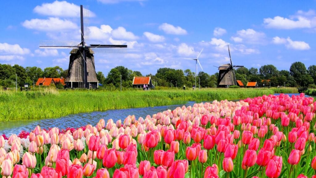 <p>The Netherlands makes the cut as the final country in the top ten that residents don’t want to move from. Despite having the highest emigration rate (11.35%), it offers the highest quality of life by over ten points. With a world happiness ranking of five, it’s easy to see why this northwestern European country deserves a spot on this list.</p>
