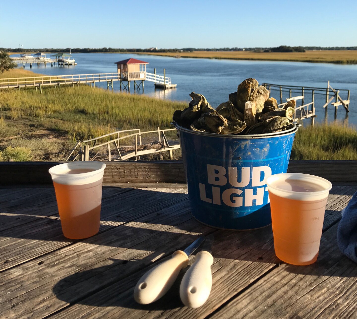 <a>Get a briny taste of Charleston with a bucket of steamed oysters at Bowens Island Restaurant.</a>