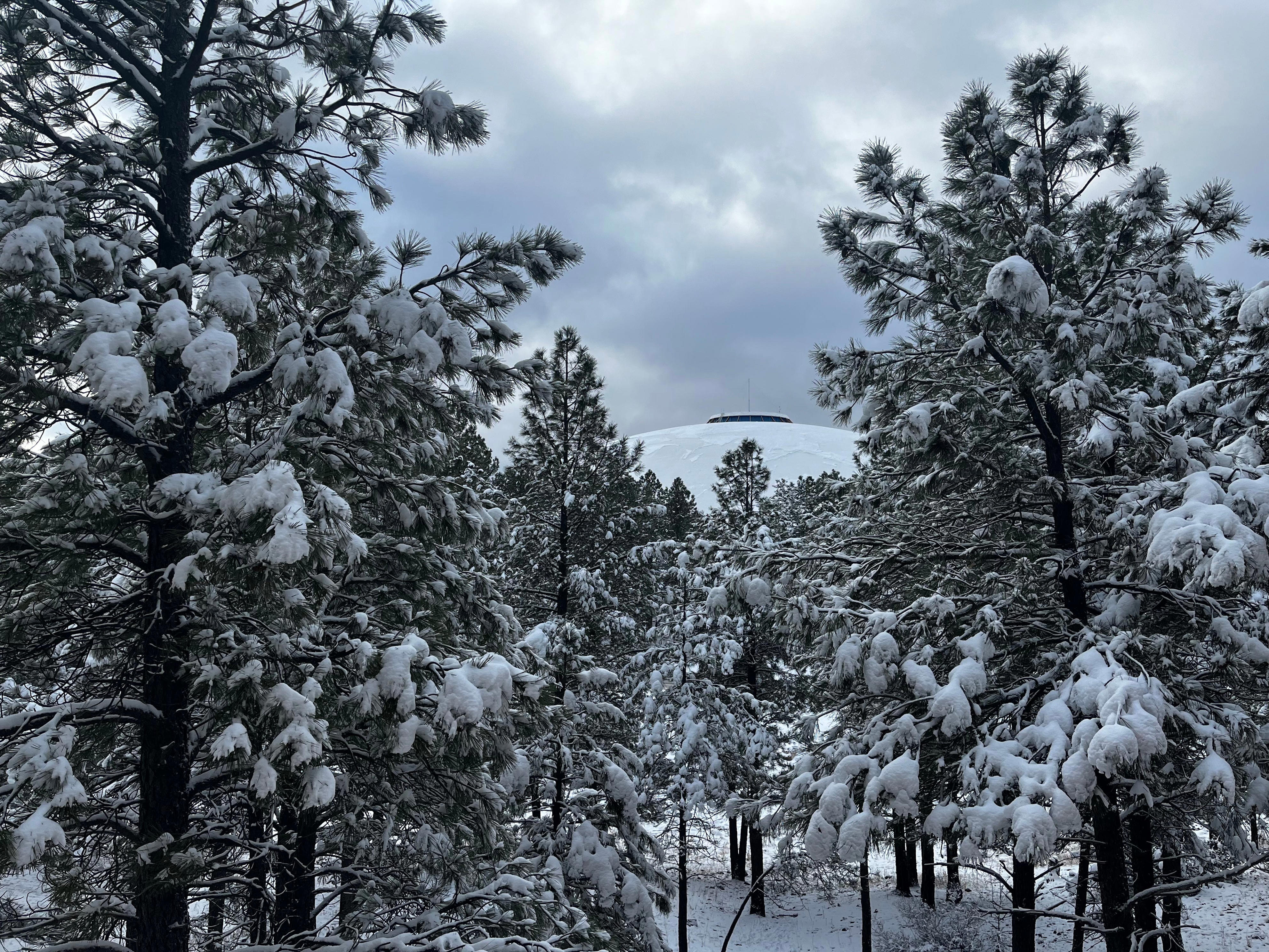 Is There Snow In Flagstaff Right Now? Here's How To Check