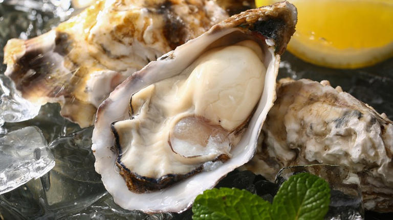 What's The Difference Between West And East Coast Oysters?