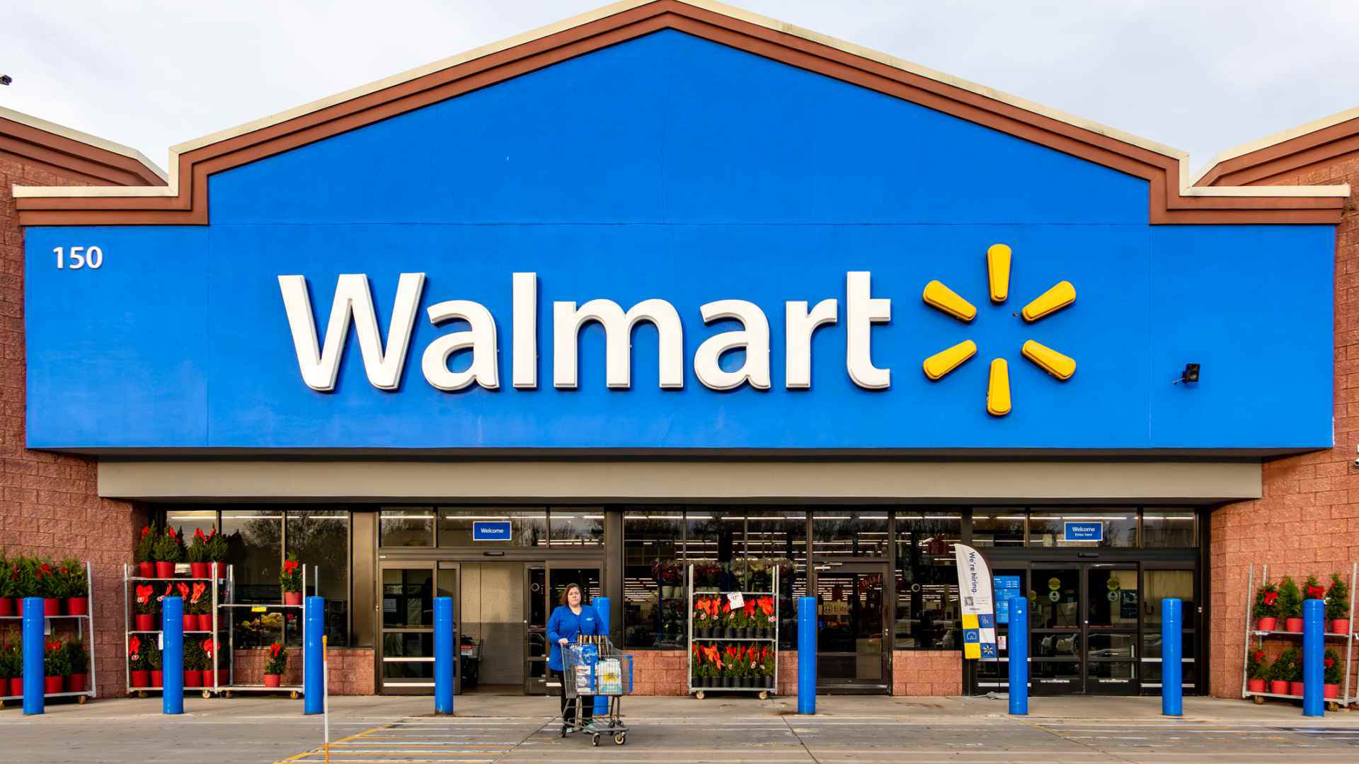 10 Best Walmart Items To Buy for $100 or More
