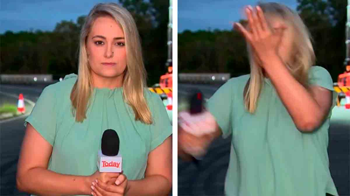 video: verslaggever slaat zichzelf na aangevallen te zijn door mug tijdens live tv