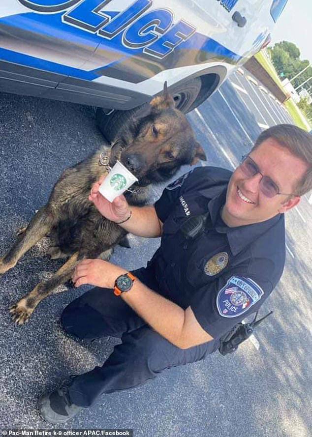 Outrage as North Carolina police department puts ailing K-9 named Pac ...