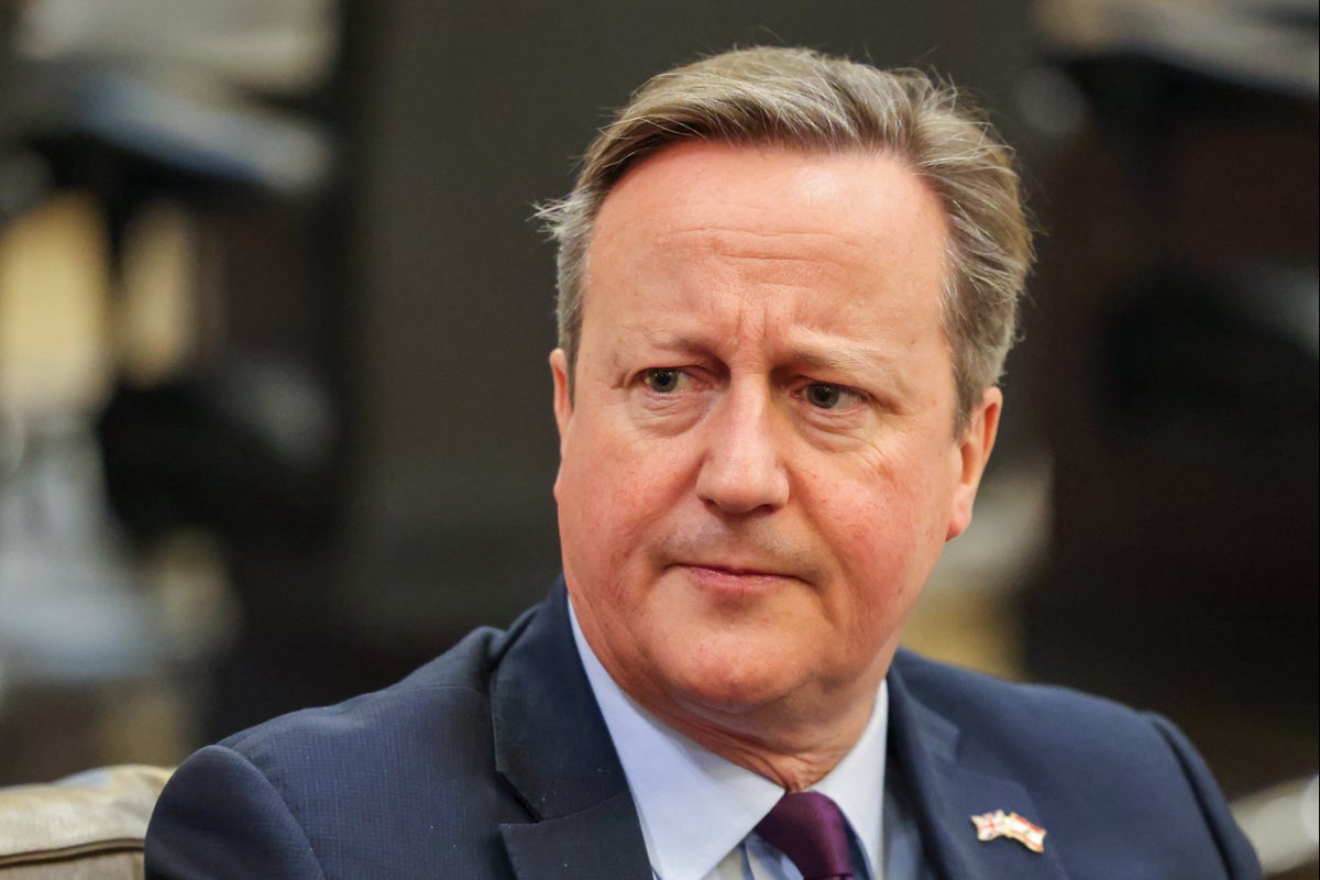 David Cameron Deeply Concerned After Israeli Strikes Kill 44 In Rafah   BB1hJpmD.img