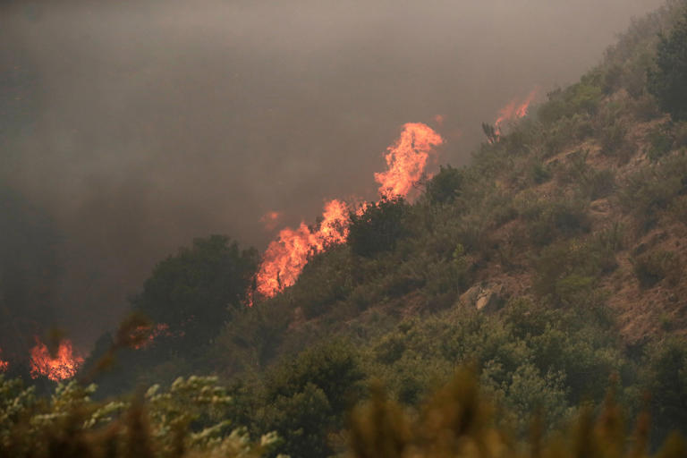 At least 51 dead as wildfires surround Chile tourist city with toll to ...