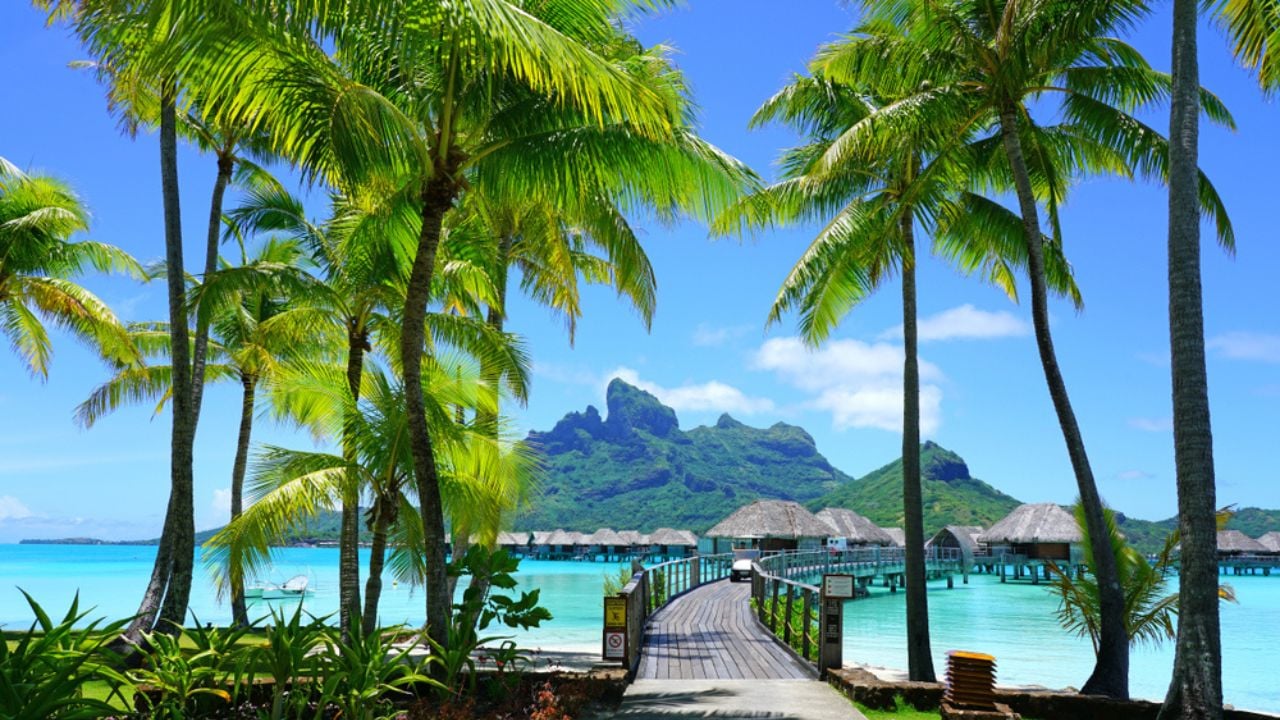 <p>Located on the tip of Matira in Bora Bora, this Four Seasons not only feels like a world away, but it also truly does place you far away from the hustle and bustle. </p><p>At this tropical paradise, you will enjoy a spacious and serene suite, bungalow, or villa that lets you jump right into a picturesque turquoise lagoon and marine sanctuary. When you’re ready to do something else, the concierge team can help with everything from shark snorkeling to electric surfing.</p>