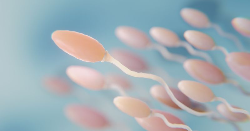 bagaimana ciri-ciri sperma masuk rahim? ini tandanya