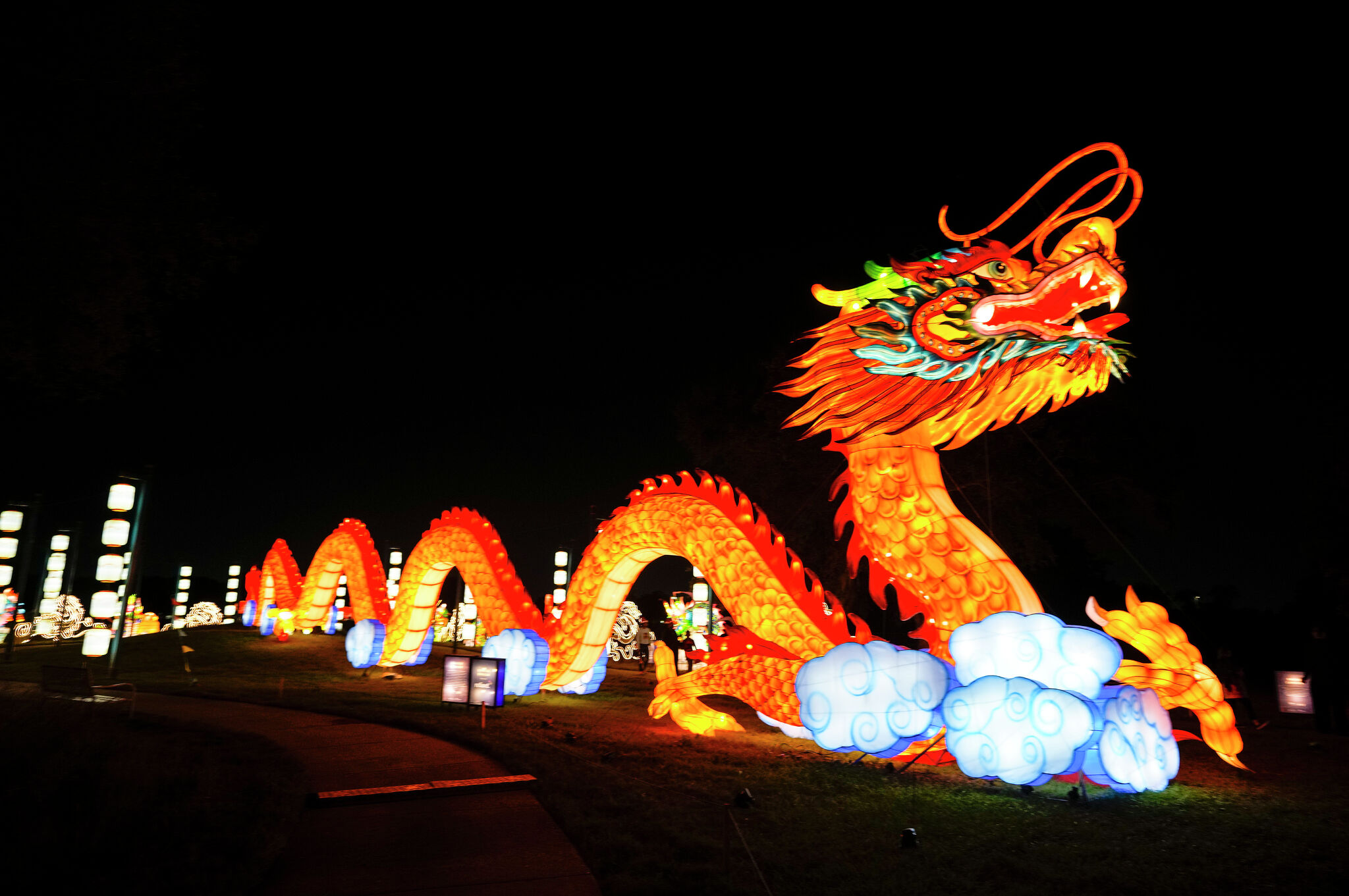 Celebrate the Year of the Dragon with these Houston Lunar New Year events