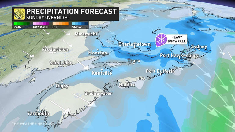 Record snowfall buries parts of Maritimes, sets sights on Newfoundland