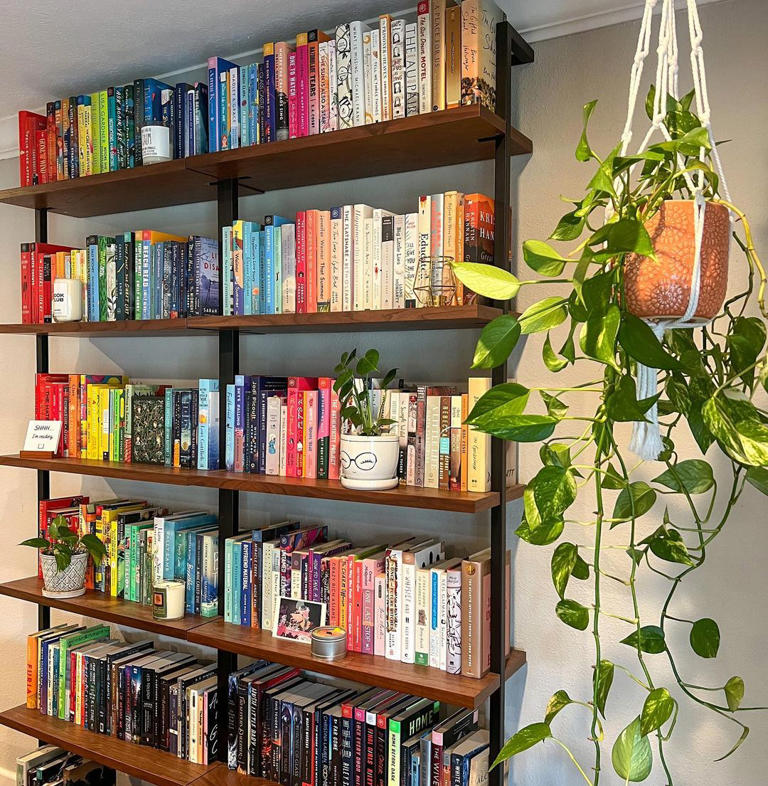 What is bookshelf wealth? Everything you need to know about the cozy ...