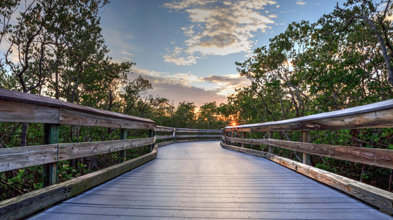 Hidden Behind Mangrove Forests Is A Gorgeous, White Sand Beach With So 