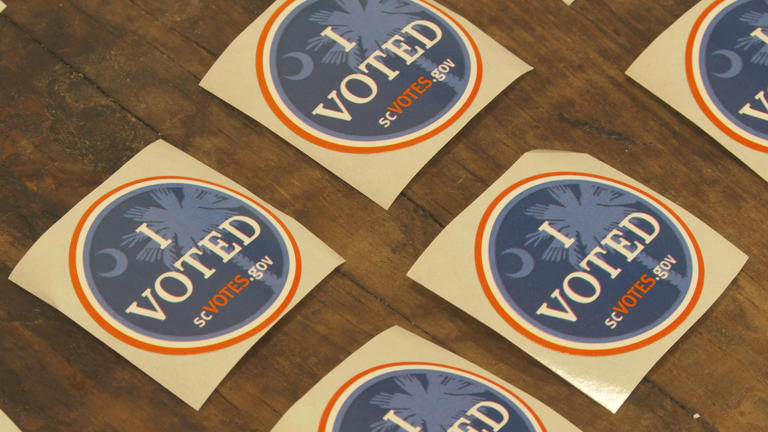 Record voter turnout reported in SC GOP primary; nearly 72K votes