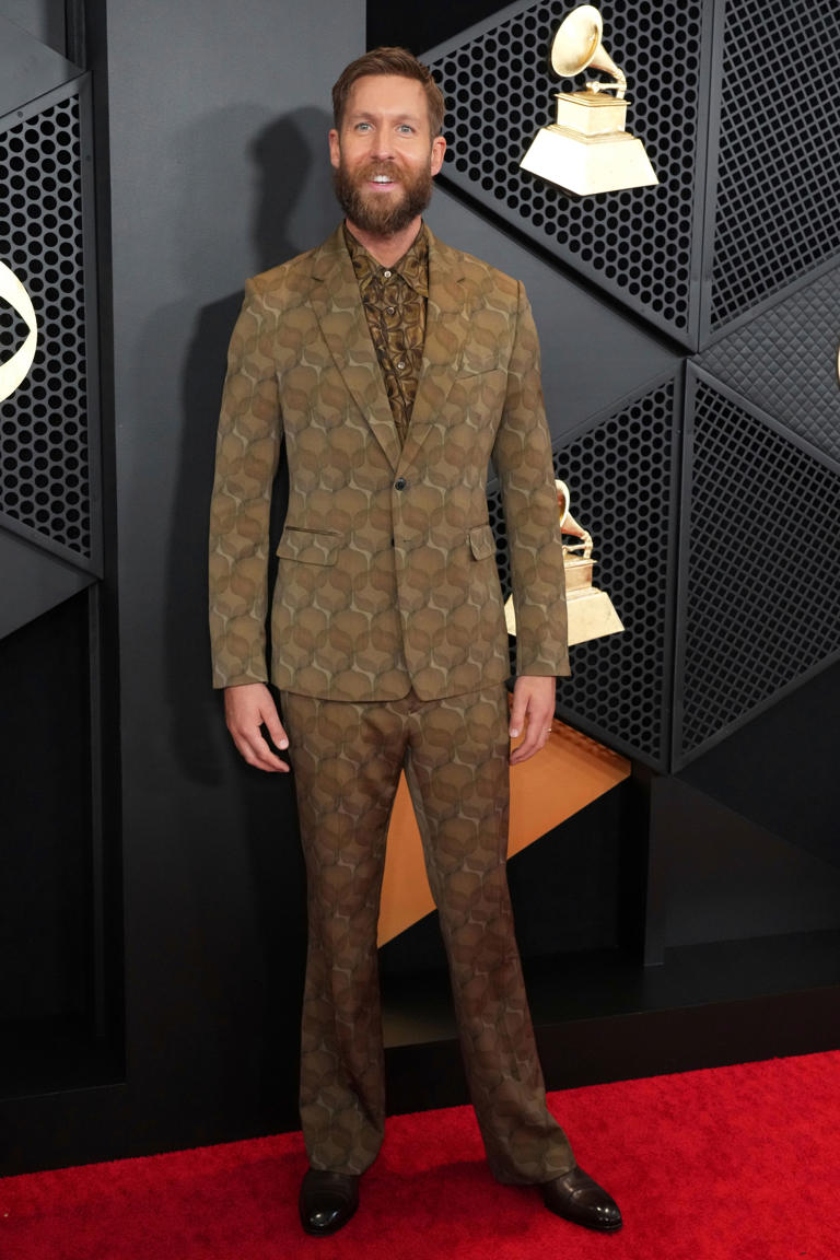 Grammy Awards 2024 From Ed Sheeran to Calvin Harris, bestdressed men
