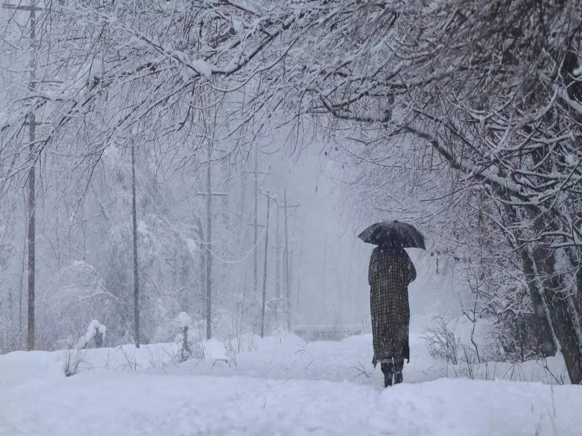 kashmir: roads closed, flights cancelled due to heavy snowfall; avalanche alert issued