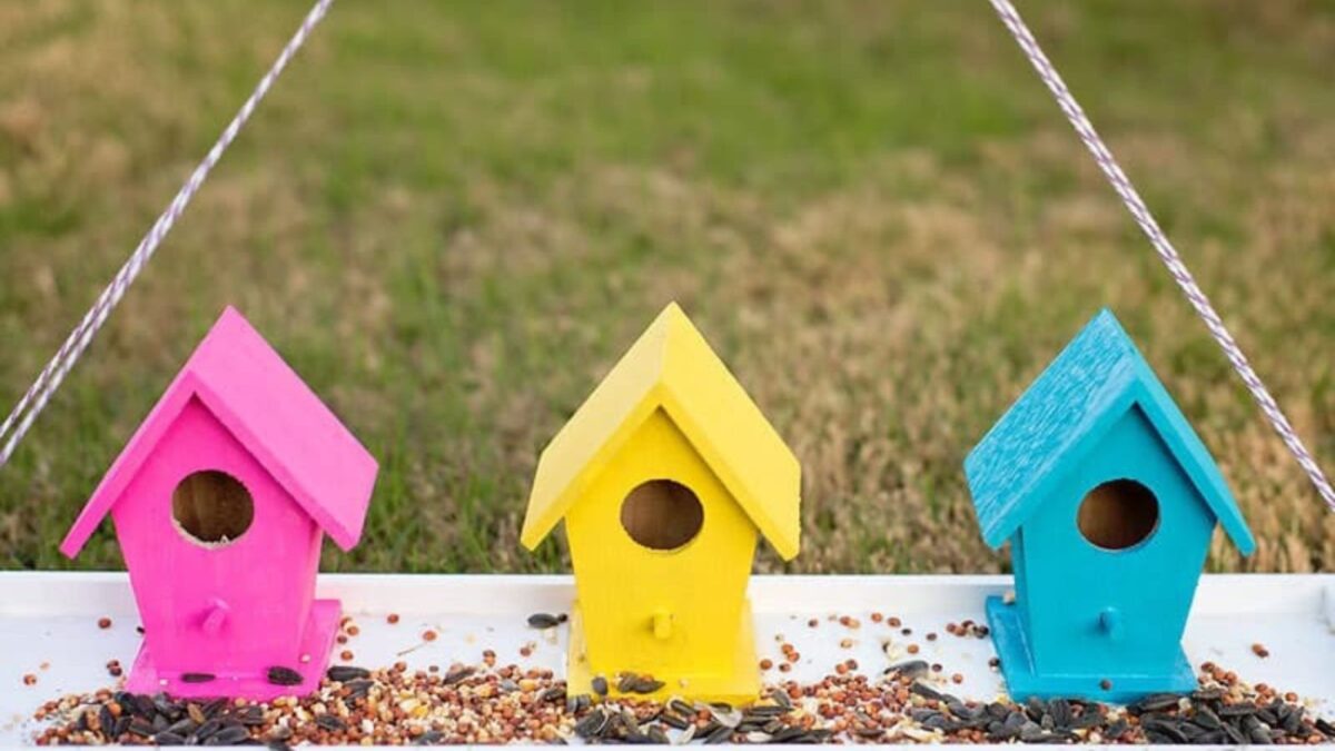 <p>Not all of us are blessed with DIY skills. However, that doesn’t mean that we can’t enjoy making bird feeders. It’s why I selected Jamie’s charming birdhouse idea for my DIY bird feeder list.</p><p>She bought a few miniature birdhouses from the dollar store, painted them in vibrant shades, and then glued them to a flat tray. <a href="https://www.scatteredthoughtsofacraftymom.com/how-to-make-a-bird-feeder/" rel="noreferrer noopener">See details here</a>. </p><p>After that, you need a strong string that manages to handle the weight of the tray and the birdhouses.</p><p>The most significant advantage of this project is that it’s got a professional touch to it. I recommend using them as <a href="https://www.backyardgardenlover.com/gifts-for-the-gardener-who-has-everything/">gifts for your fellow backyard gardeners</a>.</p>