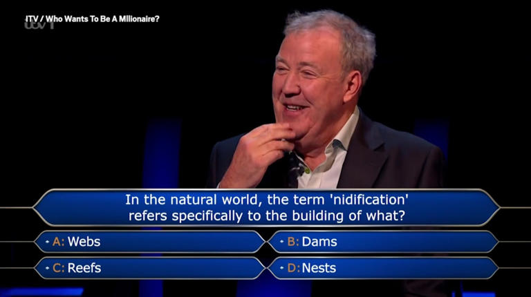 Who Wants To Be A Millionaire? player floors everyone with celebrity ...