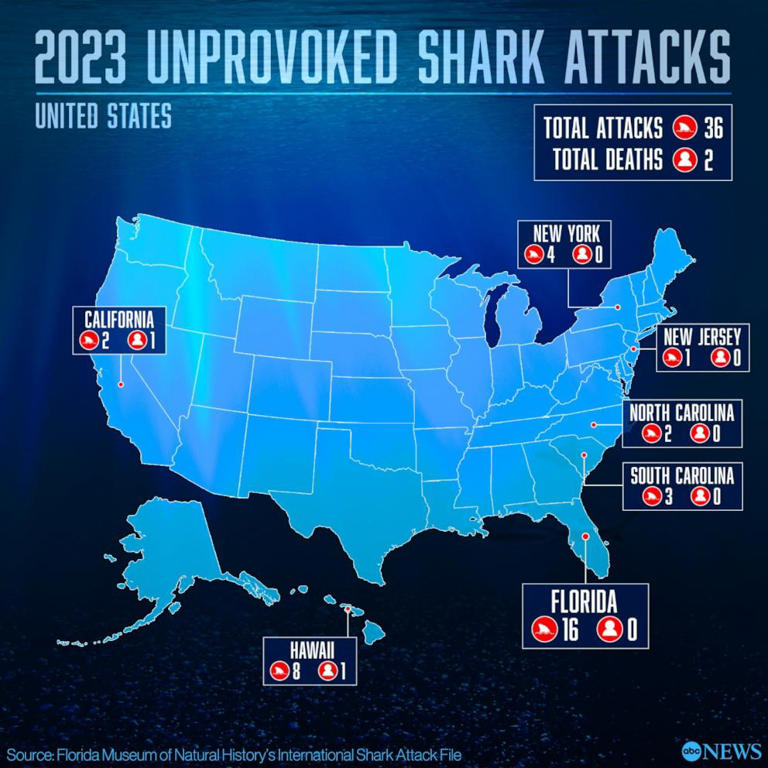 This state saw the most unprovoked shark attacks in 2023, study shows