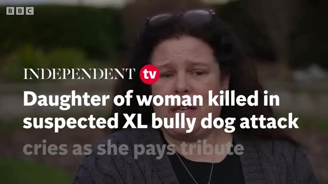 Daughter Of Woman Killed In Suspected XL Bully Dog Attack Cries As She ...