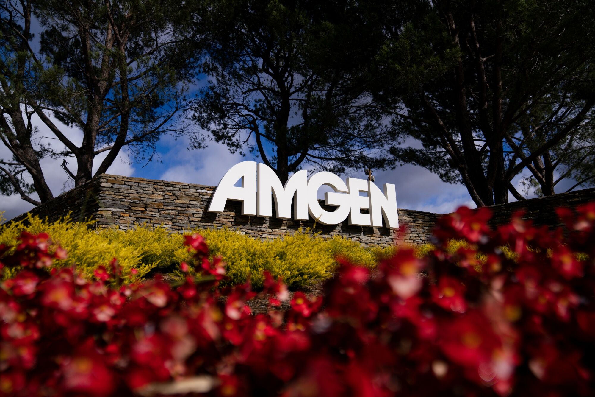 Amgen’s Weight-Loss Drug Shows Lasting Results In Early Study