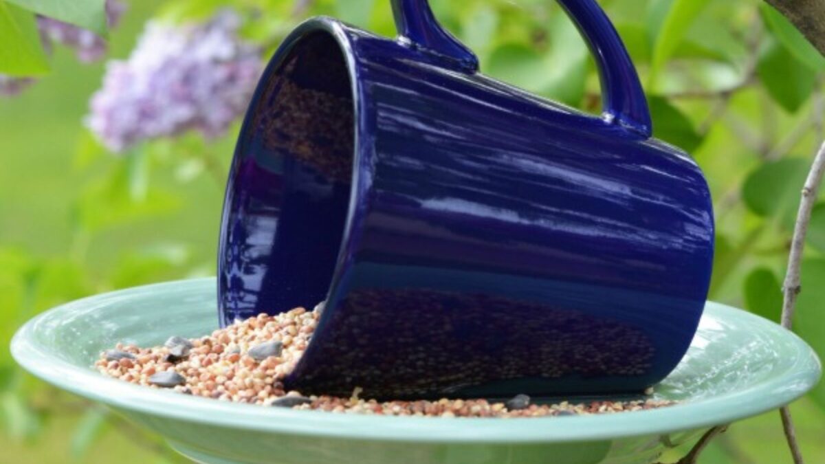 <p>Ann teaches us to live life to the fullest without breaking the bank, so I wasn’t surprised to find a <a href="https://www.annsentitledlife.com/how-does-your-garden-grow/make-your-own-coffee-mug-bird-feeder/" rel="noreferrer noopener">clever bird feeder on her blog</a>.</p><p>Didn’t we do a teacup version of this? Yes, we did, but mugs are more weather-resistant and durable. They don’t break that easily, either.</p><p>I also thought that it makes an excellent gift for the coffee lover in your life. It’ll be a nice change from the customized coffee mug or coffee blend basket they usually get.</p><p>Why? This quirky gift is personal and gives a nod to their favorite beverage. It also adds a fun vibe to the garden too. The person you gift it to will always think of you whenever they see a bird snacking on this thoughtful gift.</p>
