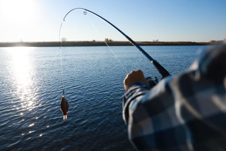 Governor Hochul announces 2024 Free Fishing Days