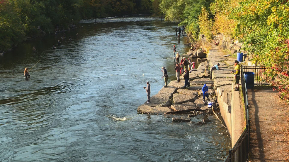 2024 free fishing days in NYS announced
