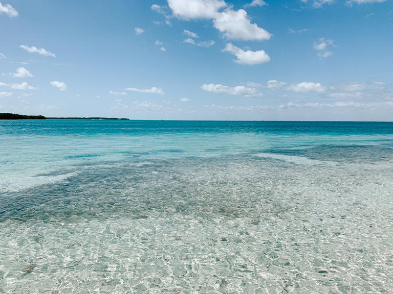 19 Warmest Beaches in Florida in March For Adventurers in 2024