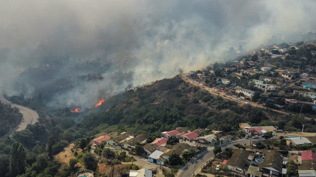 Incendios En Regi N De Valpara So Director De Desaf O Levantemos Chile   BB1hOuGJ.img