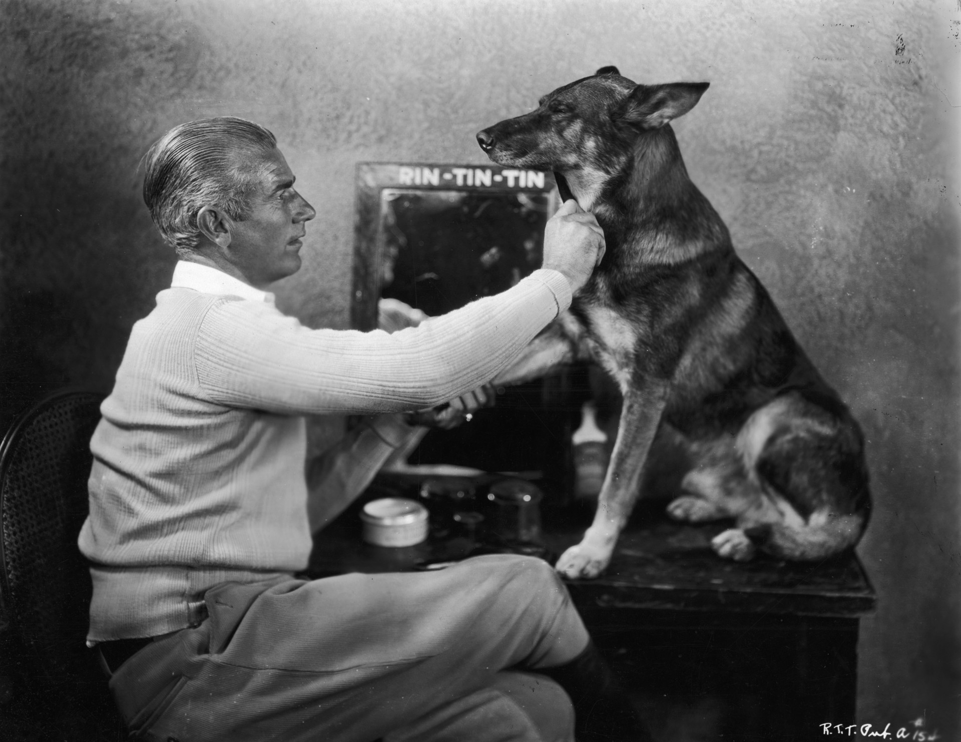 The most famous dogs in history