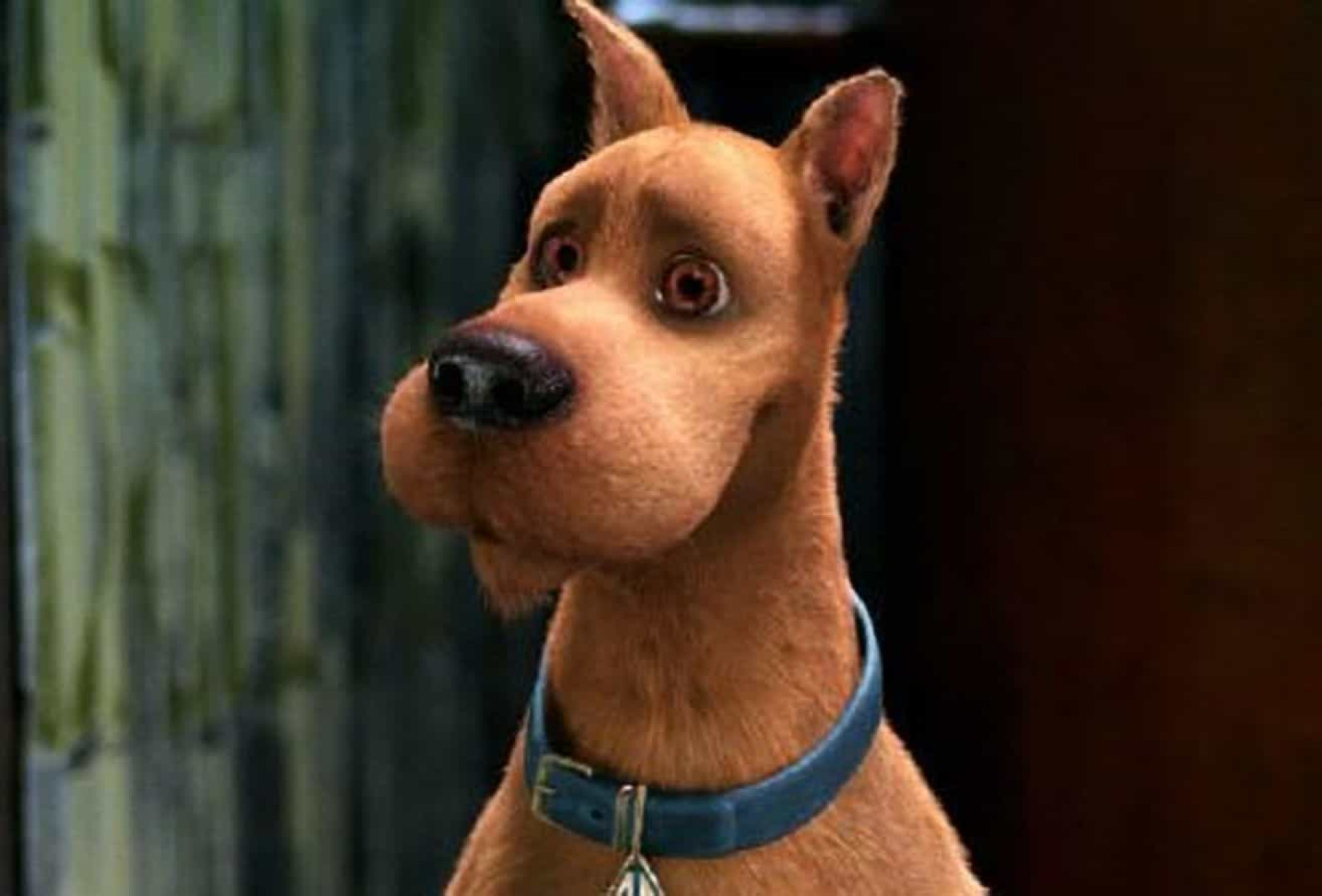 The most famous dogs in history