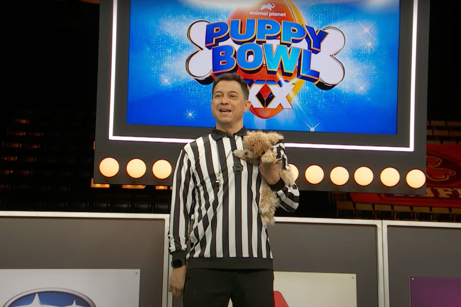 How To Watch Puppy Bowl 2024 Including Where To Stream The Event On   BB1hPcHJ.img