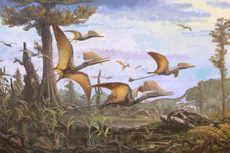 new-pterosaur-species-discovered-a-complete-surprise