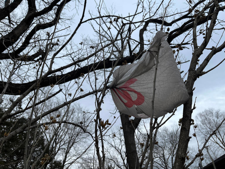 Kansas governor vetoes law that would undo Lawrence's plastic bag ban ...