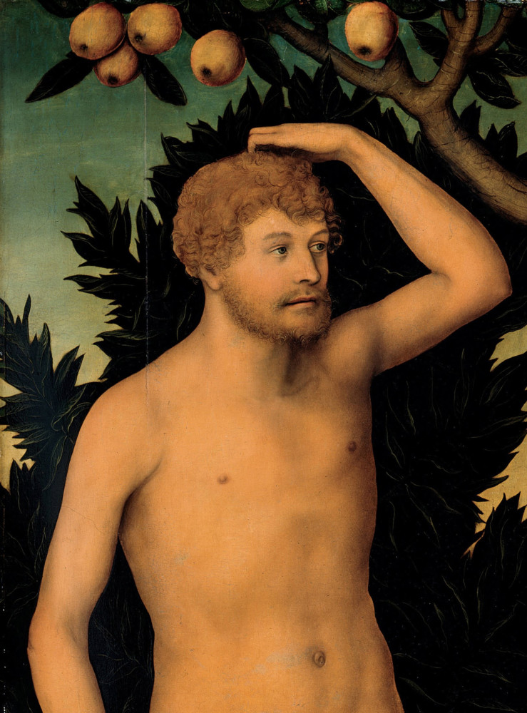 Adam