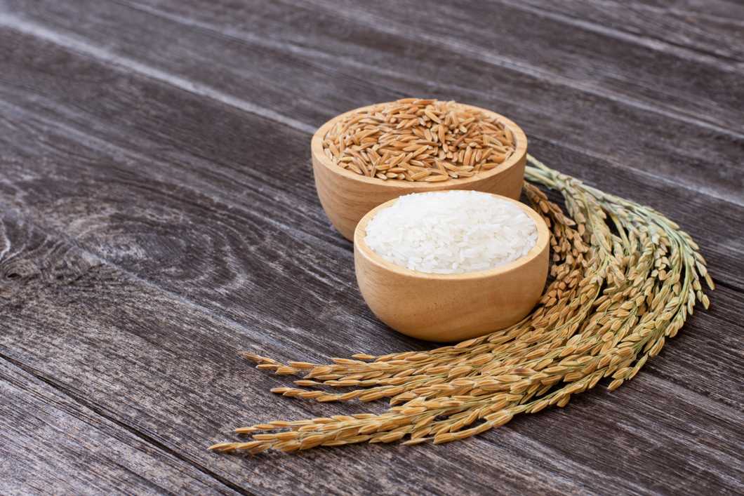Jasmin Reis Ernährungsexperten Äußern Sich Zum Gesundheitlichen Nutzen