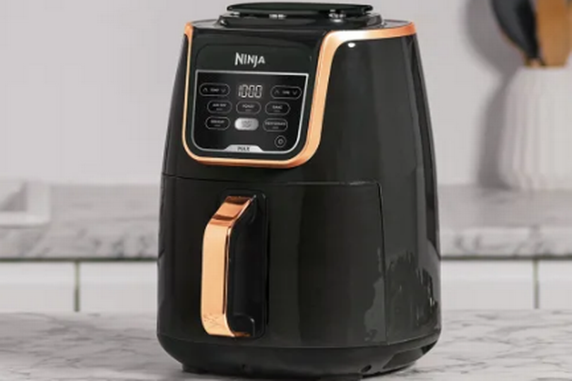 Ninja Air Fryer Now 90 Off As Brand Teases New 2024 Kitchen Gadgets   BB1hQYXx.img