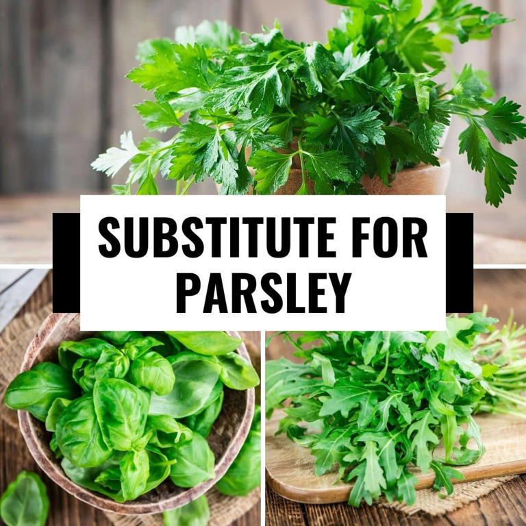 Parsley Alternatives 8 Substitutes You Can Try