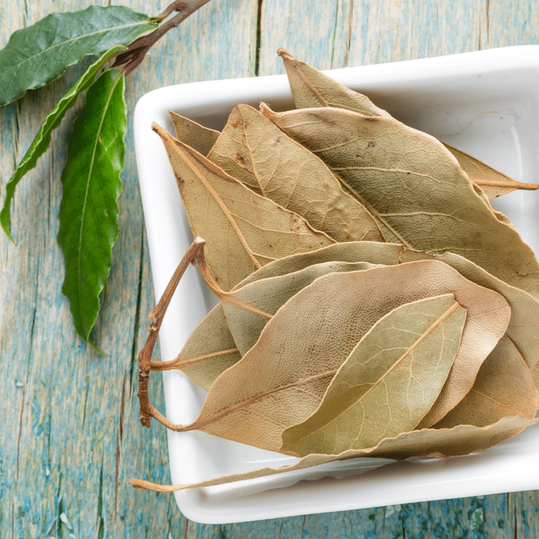 7 Best Substitutes For Bay Leaf