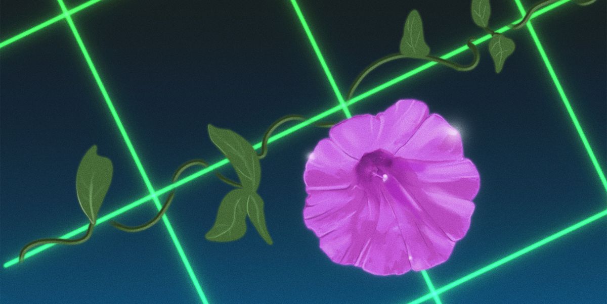 Bumble Wants You to Never Match With a Fake Account Again