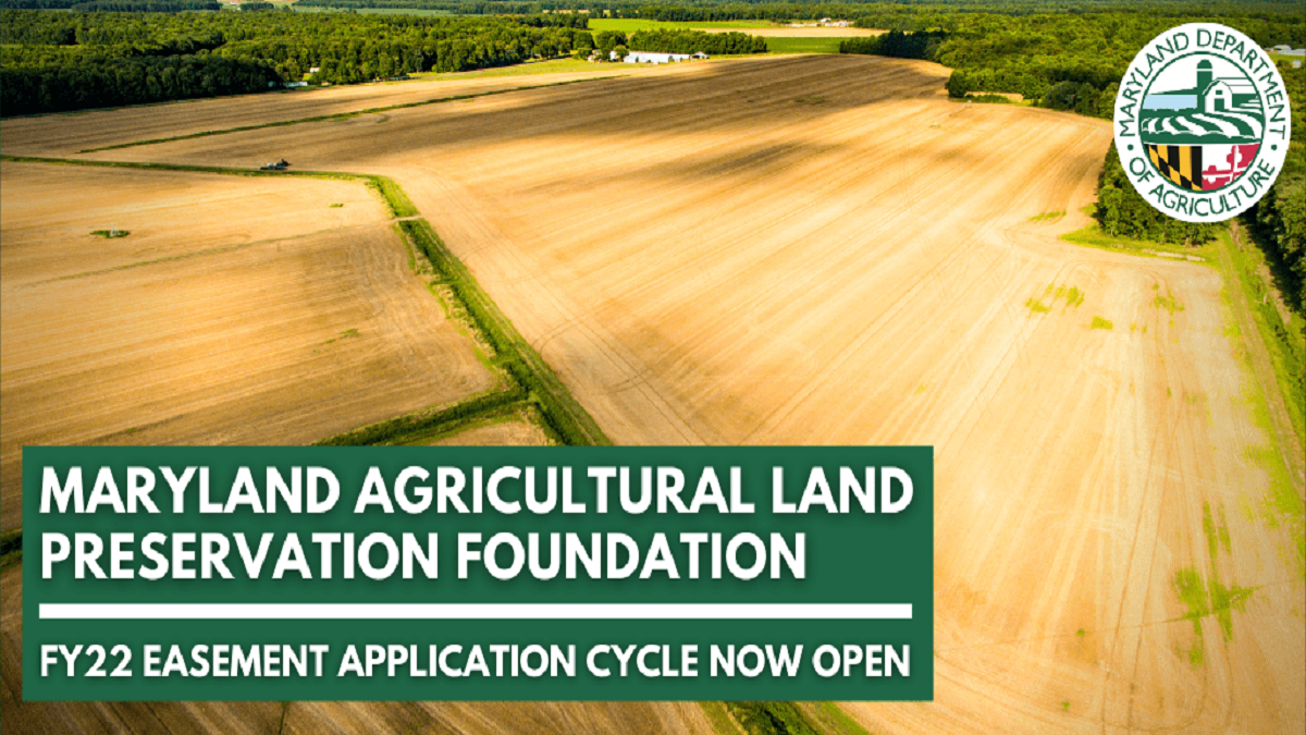 Maryland Opens FY2025 Agricultural Land Preservation Applications   BB1hRMEt.img